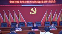 做爱视频师生赴黔西市锦绣街道开展教学实践及调研活动